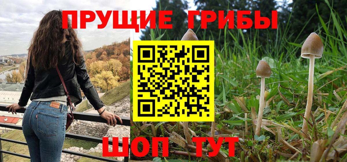 Псилоцибиновые грибы MAGIC MUSHROOMS Минусинск
